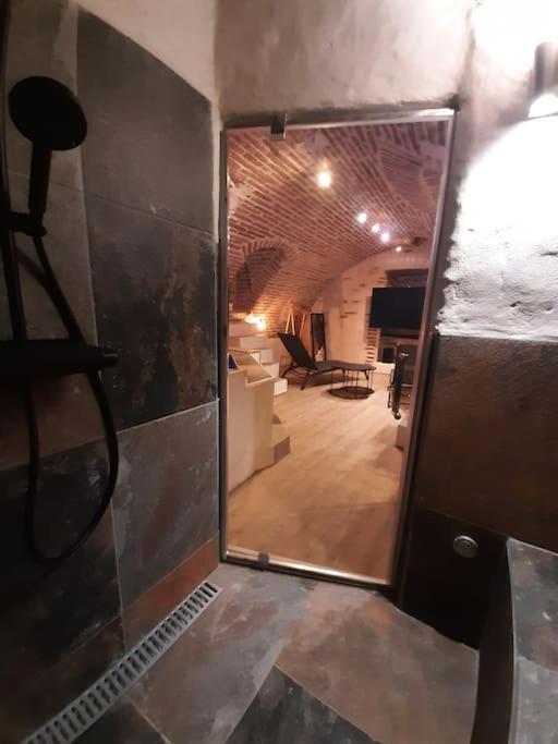 Studio Et Spa Privatif Le Puits De La Grace Albi Extérieur photo